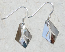 Eagle Track Earrings