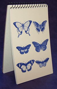 Six Butterflies Explorer Pad