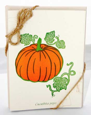 Pumpkin Note Cards