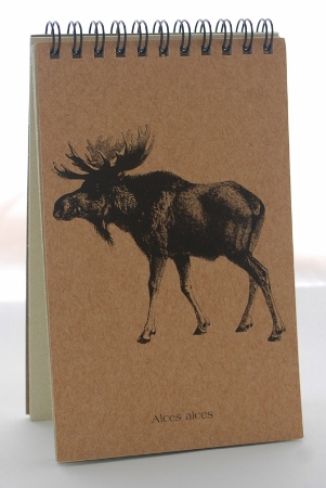 Moose Explorer Pad