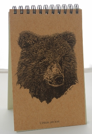 Bear Explorer Pad