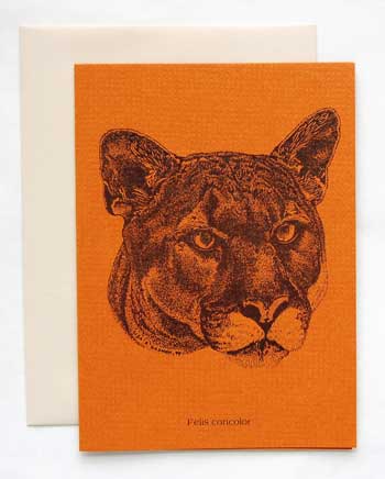 Mountain Lion Note Card