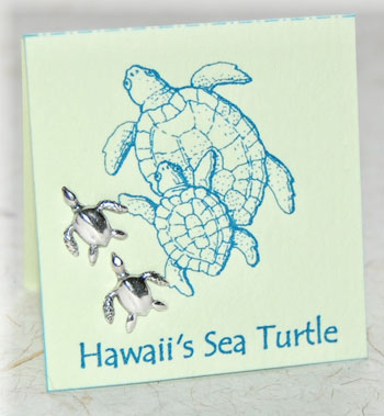 Hawaii Sea Turtle posts