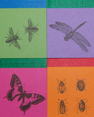 Bug Note Four Pack