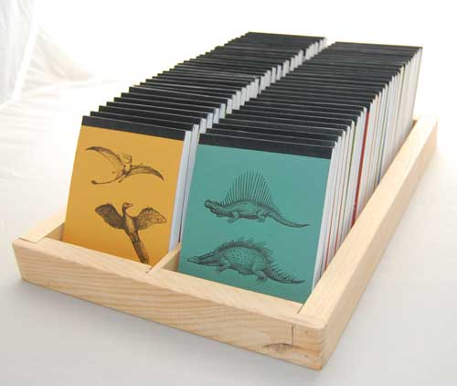 Dino Pad Rack Display