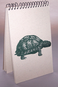 Turtle Explorer Pad