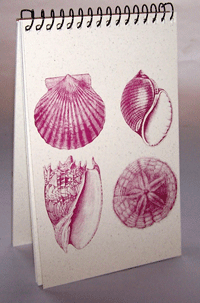 Shell Explorer Pad