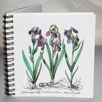 Iris Hand Watercolored Journal