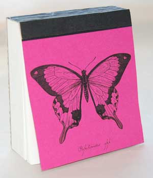 Butterfly Nature Cube
