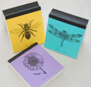 Nature Cube Assortment
