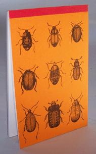 Bugs - Animalife Pad