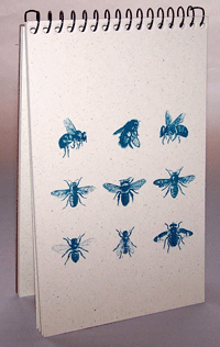 Bees Explorer Pad