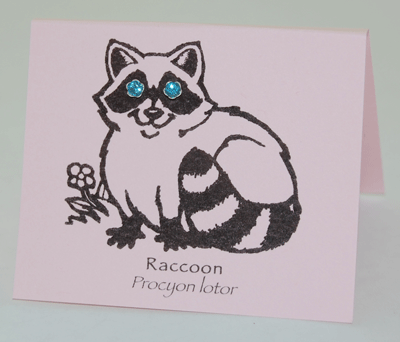 Raccoon Eyes