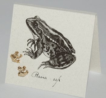 Frog Earrings - gold