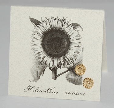 Sunflower Earrings - gold