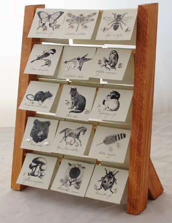 Natural History Rack - sterling silver