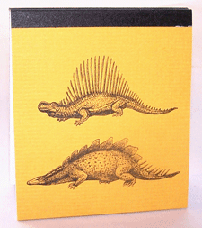 Dino Pads