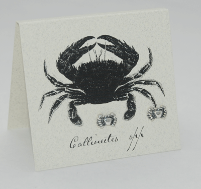 Crab Earrings - silver