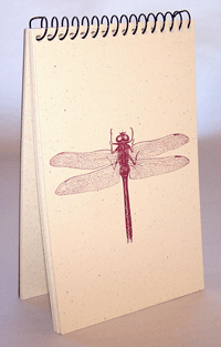 Dragonfly Explorer Pad