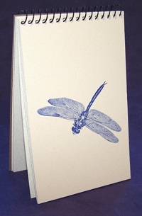 Blue Dragonfly Explorer Pad