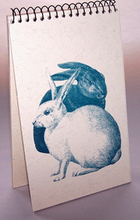 Rabbits Explorer Pad