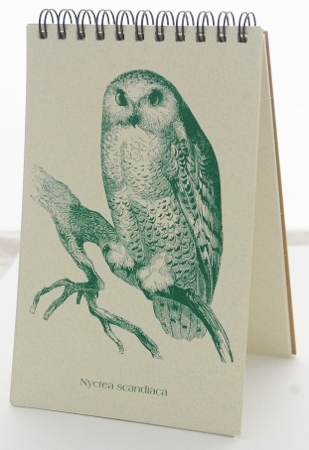 Owl Explorer Pad