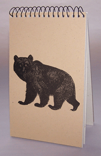 Bear Explorer Pad