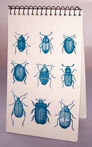 Beetles Explorer Pad