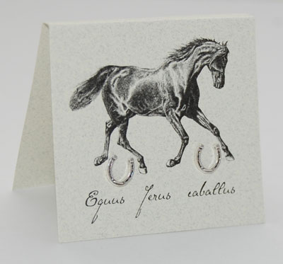 Horseshoe Earrings - silver