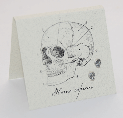 Skull Earrings - silver