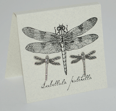 Dragonfly Earrings - silver