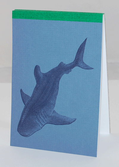 Shark -Animalife Pad