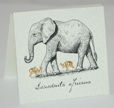 Elephant Earrings - gold
