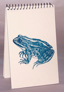 Frog Explorer Pad