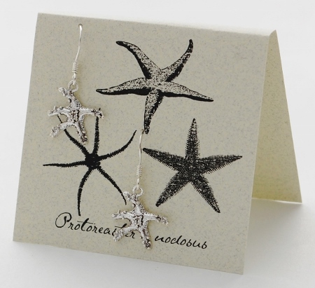 Starfish Earrings - silver