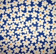 Daisies Hand Silkscreened Paper