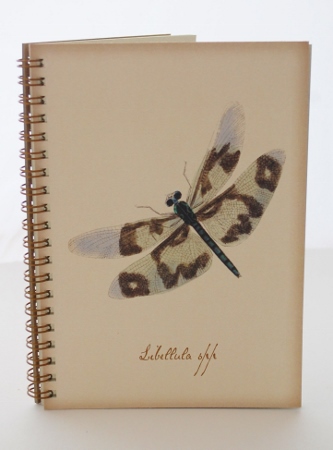 Dragonfly Nature Journal