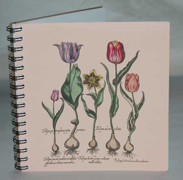 Tulips Hand Water Colored  Journal