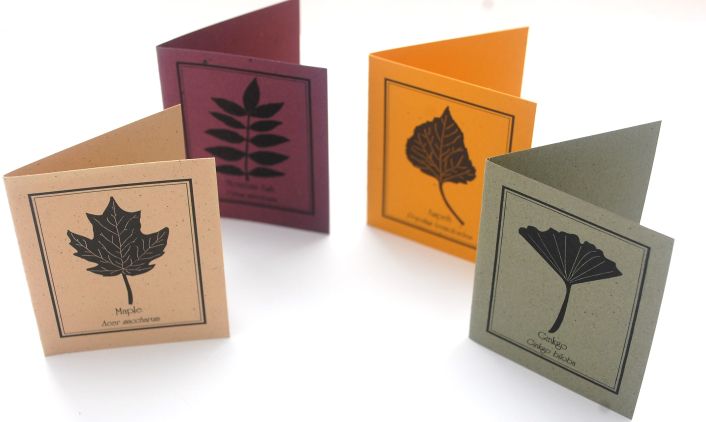 Leaves Gift Cards 