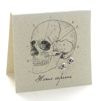 Skull Earrings - silver
