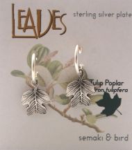 Tulip Poplar Hoop Earrings - silver