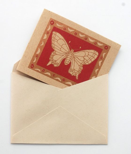 Butterfly Journey  Gift Card & Envelope 