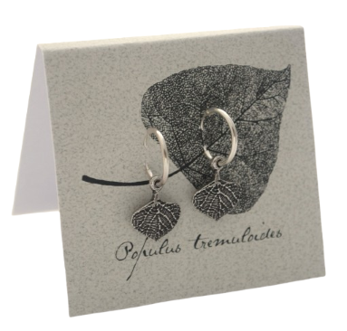 Aspen Hoop  Earrings -  silver Natural History 