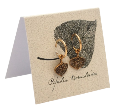 Aspen Hoop Earrings - gold Natural History