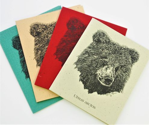 Bear Gift Cards
