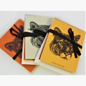 Mountain Lion  Gift Cards - packaged
