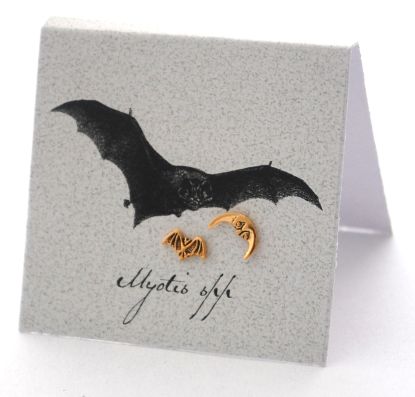Bat & Moon Earrings - gold Natural History