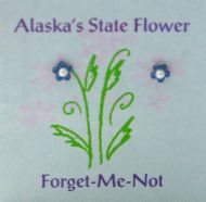 Forget-Me-Not Sweet Things