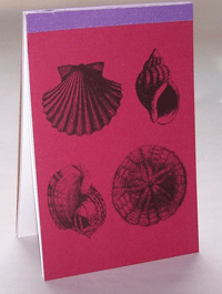 Shells - Animalife Pad