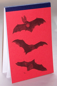 Bats - Animalife Pad